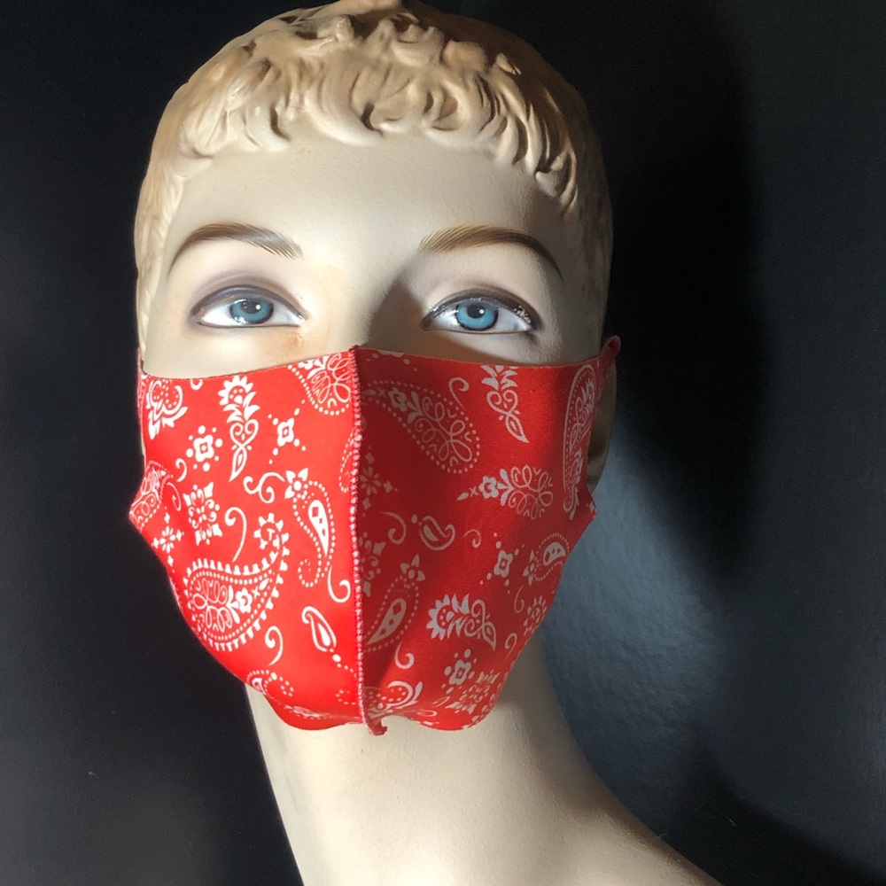 Paisley and solid Face Mask